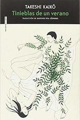 Tinieblas de un verano - Takeshi Kaiko - Sexto Piso