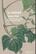 La amistad - Simone Weil - Hermida Editores