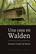 Una casa en Walden - Antonio Casado Da Rocha - Pepitas de calabaza