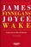 Finnegans Wake 2 Ed. - James Joyce - Cuenco de plata
