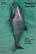 Vaquita marina - Brooke Bessesen - Grano de sal