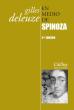 en_medio_de_spinoza_3a_ed_cactus.jpg