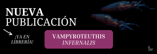 Vampyrotheuthis infernalis