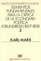 Elementos fundamentales para la crítica de la economía política Grundrisse 1857-1858 V 3 - Karl Marx - Siglo XXI Editores