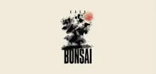 casa_bonsai.jpg