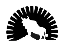 regresodelbisonte.jpg