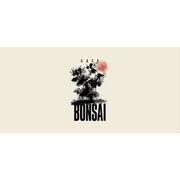 Casa bonsai