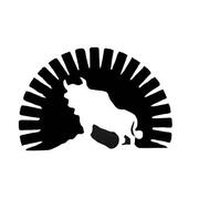 El Regreso del Bisonte El Regreso del Bisonte