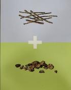 Palos y piedras - Dianne Cynthia Pearce - Ibero Palos y piedras - Dianne Cynthia Pearce - Ibero