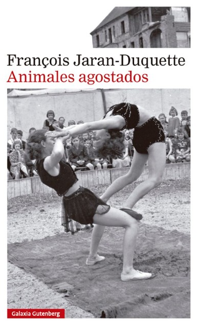 animales_agostados_galgut.jpg