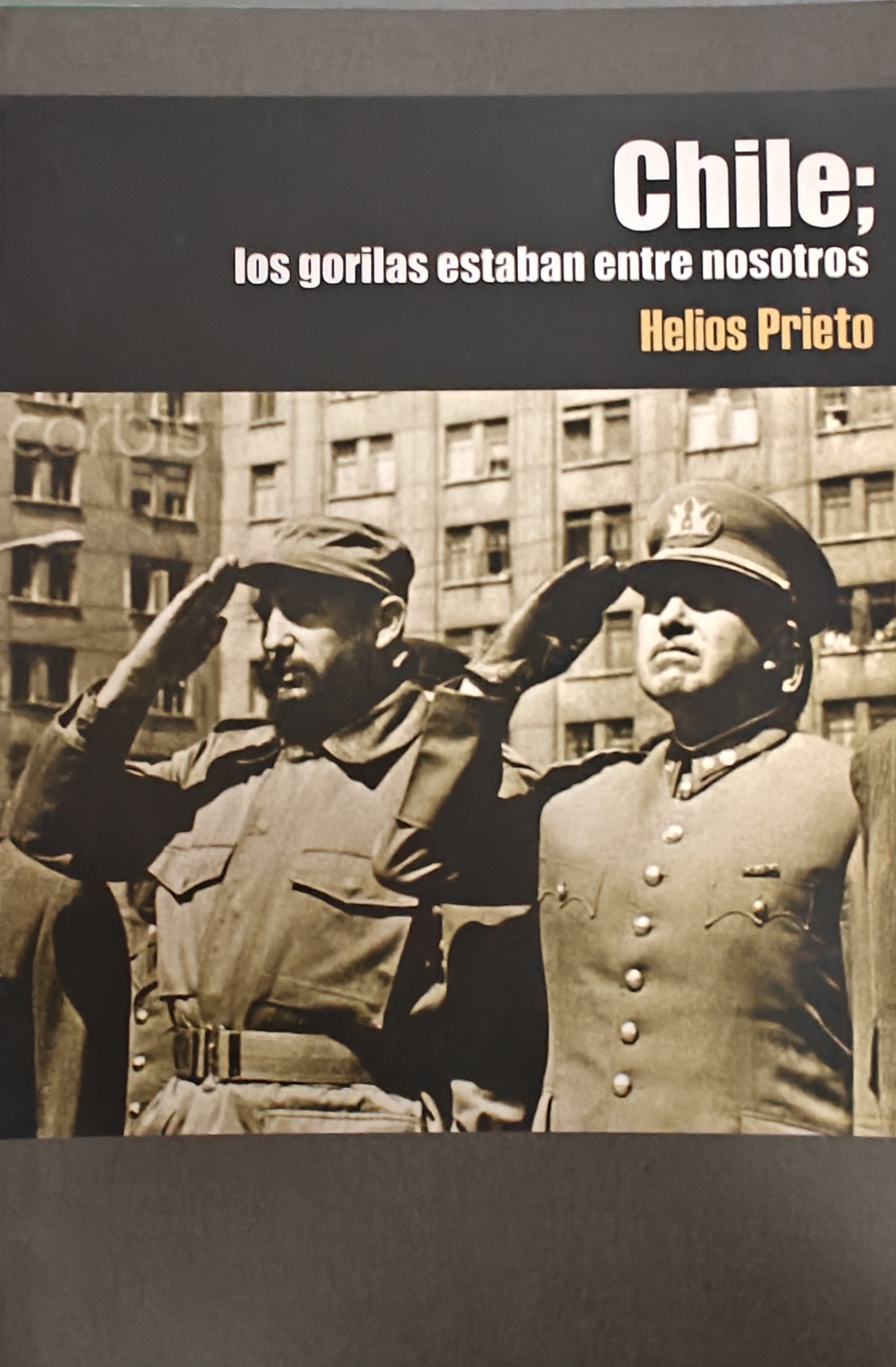 chile_gorilas.jpg