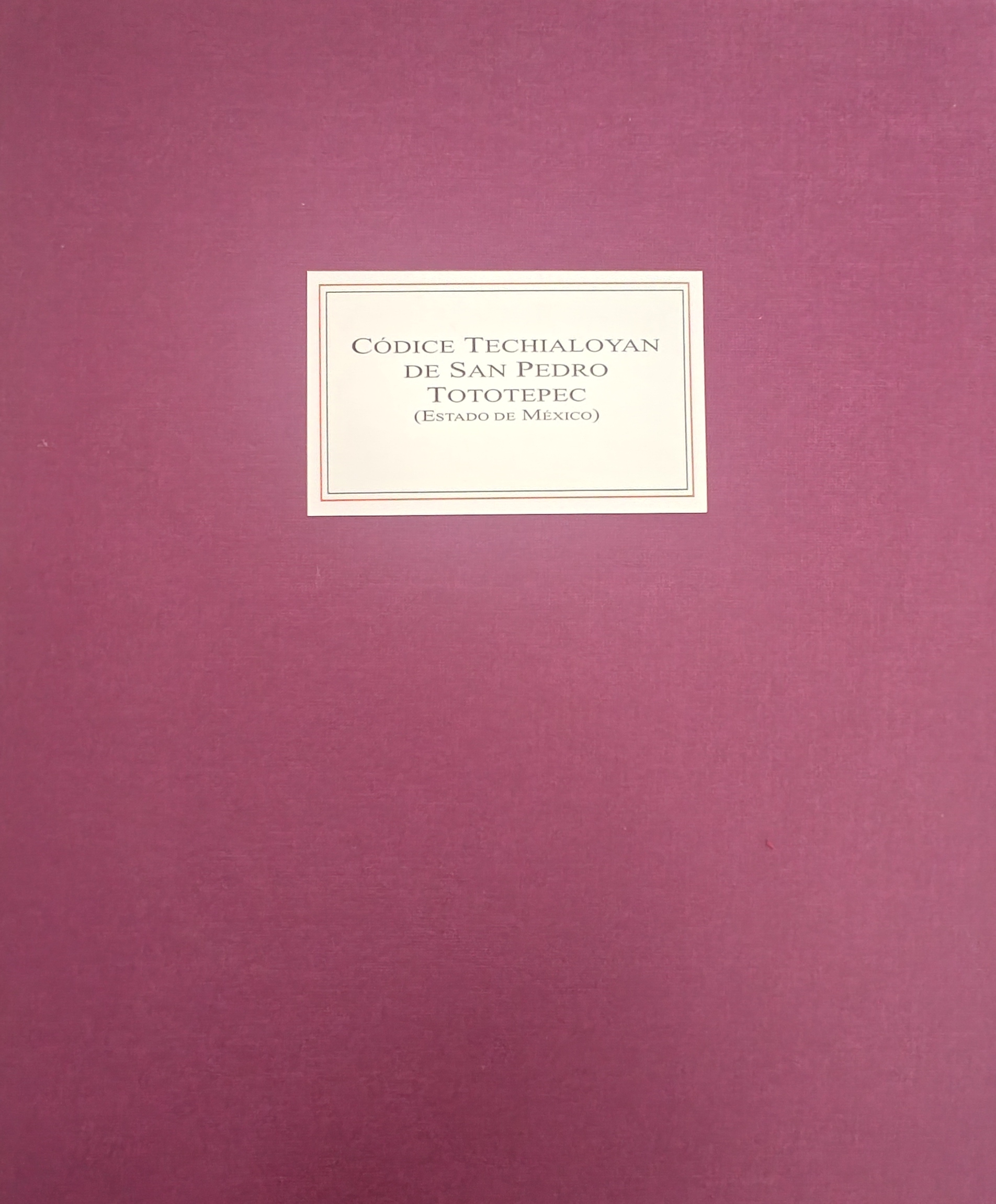 codice_techialoyan_pedro_tototepec_coleg_mexi.jpg