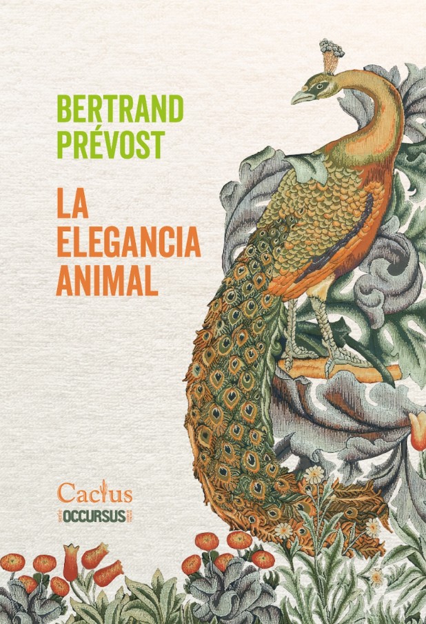 elegancia_animal_cactus.jpg