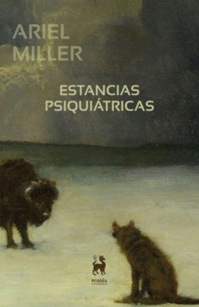 estancias_psiquiatricas_aquellarre.jpg