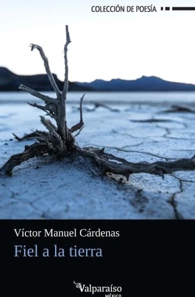 fiel_a_la_tierra_valparaiso.jpg