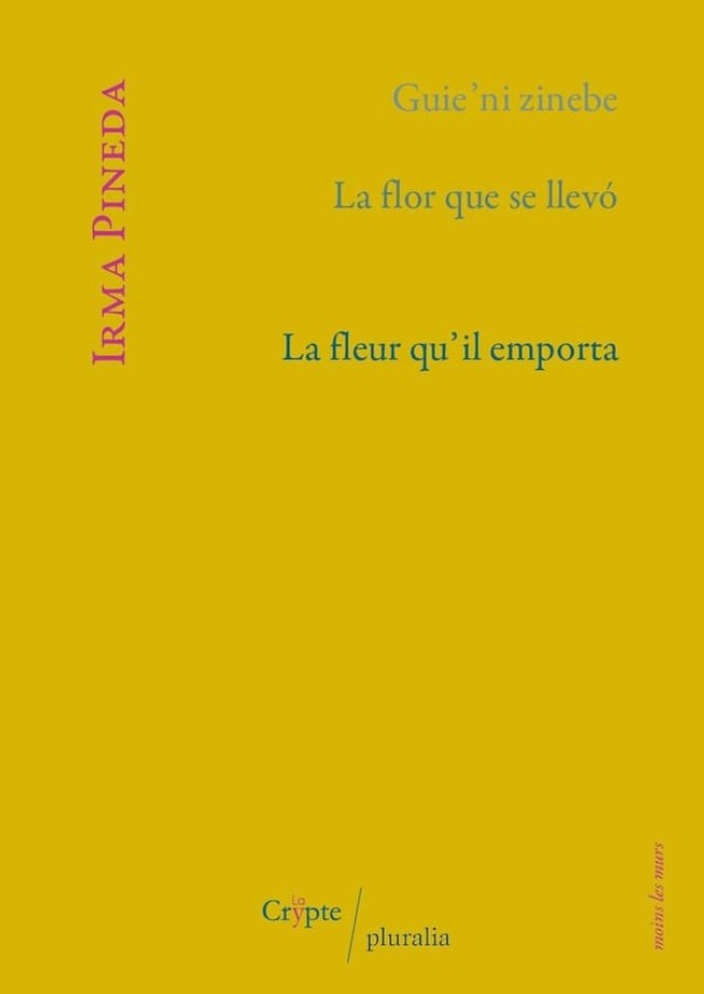 flor_que_importa_pluralia.jpg