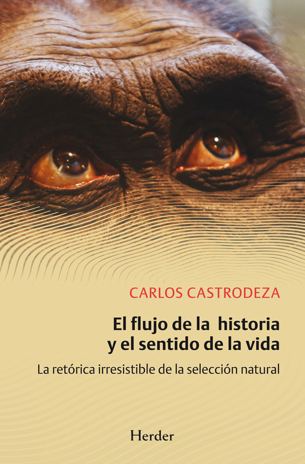 flujo_de_la_historia_y_el_sentido_de_la_vida_el_2013.jpg