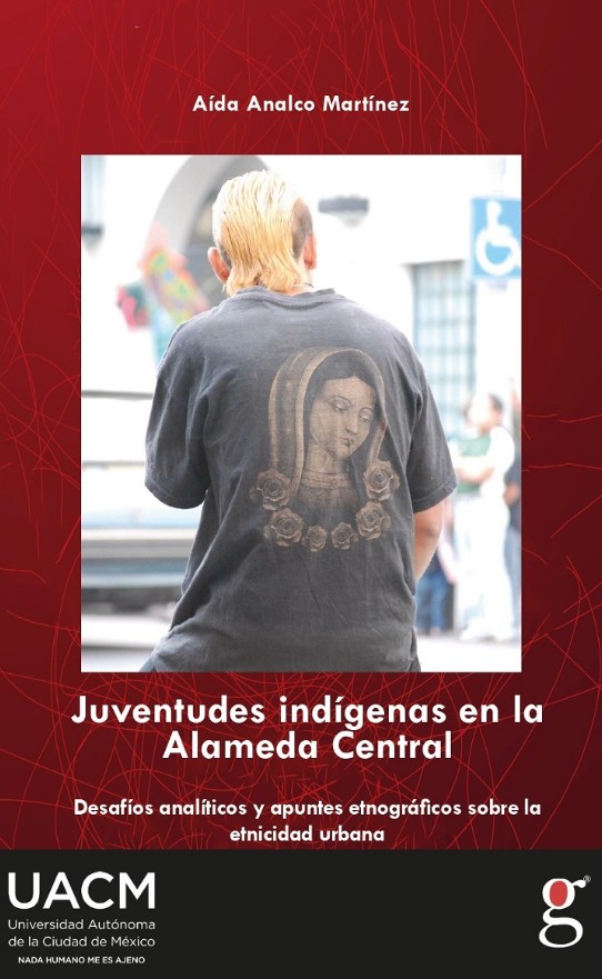juventudes_indigenas_ac_gedimex.jpg