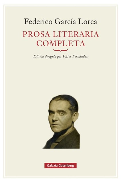 prosa_literaria_completa_galgut.jpg