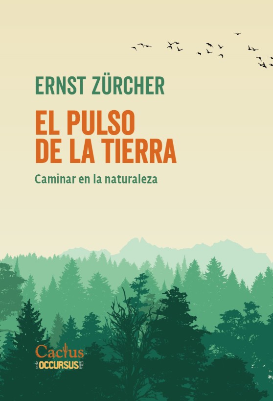 pulso_dela_tierra_cactus.jpg